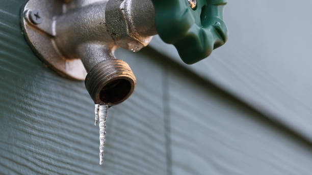 Best Plumbing Services Near Me  in Crown Pot, IN
